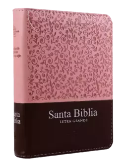 Biblia Reina Valera 1960 Tamaño Bolsillo Letra Mediana 10 puntos Imitación Piel Rosa Marrón (RVR26cLSGiPJRZTI) - comprar en línea