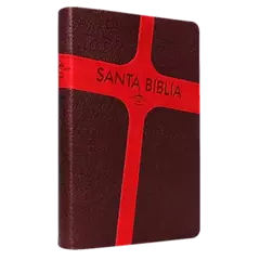 BIBLIA LETRA GRANDE CON PASTA COLOR MARRON Y ROJO RVR065cLGPJR - comprar en línea