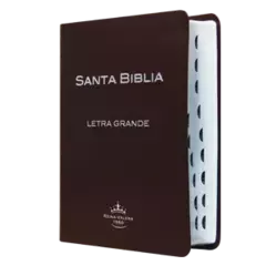 BIBLIA PIEL FABRICADA CON CANTO PLATEADO TAMAÑO MANUAL RVR057CTILGPJR - comprar en línea
