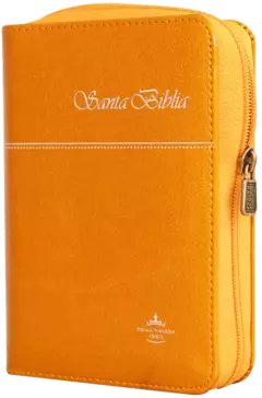 Biblia Reina Valera 1960 Tamaño Bolsillo Letra Mediana Imitación Piel Naranja [RVR025cZTI] - comprar en línea