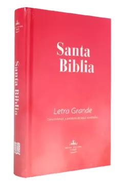 Biblia Reina Valera 1960 Mediana Letra Grande Tapa Dura Rosa [RVR063cPJR] - comprar en línea