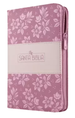 Biblia Reina Valera 1960 Mediana Letra Grande Imitación Piel Rosa Código QR [RVR065cZLGPJR] - comprar en línea