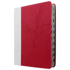 Biblia Reina Valera 1960 Grande Letra Super Gigante Imitación Piel Fucsia Código QR [RVR086cTILSGiPJR] - comprar en línea