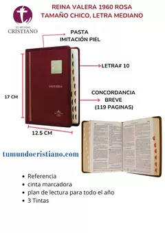 BIBLIA VINO PLACA 3 TINTAS RVR045cLGTI