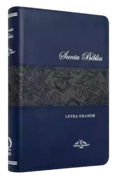 BIBLIA VR065 LG 1909 AZUL - comprar en línea