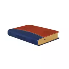 BIBLIA LETRA GRANDE COLOR DUO TONO AZUL/ MARRON RVR065cLGPJR en internet