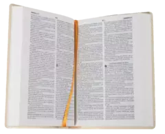 Biblia Reina Valera 1960 Chica Letra Chica Vinil Beige [RVR042ePC] en internet