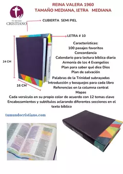 Biblia de Estudio Arco Iris Reina Valera 1960 Semi Piel Morado/Multicolor MHI0605