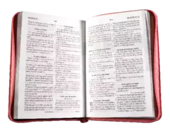 Biblia de Estudio Oraciones Reina Valera 1960 Mediana Letra Grande Imitación Piel Rosa Código QR [RVR056cZLGPJR] en internet