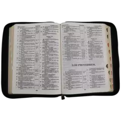 Biblia Reina Valera 1909 letra mediana, tamaño Grande Negro [VR085LMZTI] - comprar en línea