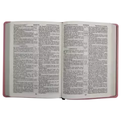 Biblia Reina Valera 1909 letra mediana, Grande Rosa [VR085LM] en internet