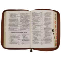 Biblia Reina Valera 1909 Mediana Café VR055ZTI en internet