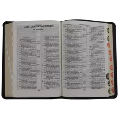 Biblia Reina Valera 1909 PIEL GENUINA Mediana Negro [VR059TI] en internet