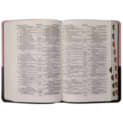 Biblia Reina Valera 1909 Mediana Rosa/Café VR055TI en internet
