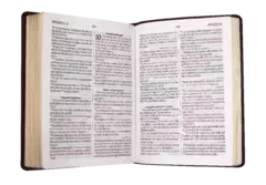 Biblia Reina Valera 1960 Grande, Letra Gigante Imitación Piel Vino QR [RVR086cLGiPJR] en internet