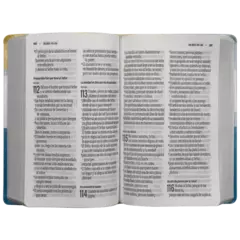 Biblia Reina Valera Contemporánea Mediana Letra Gigante 14 puntos Imitación Piel Azul [RVC.66cLGiPJR] en internet