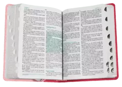 BIBLIA ROSA FUENTE DE BENDICION RVR045cLMFBTI en internet