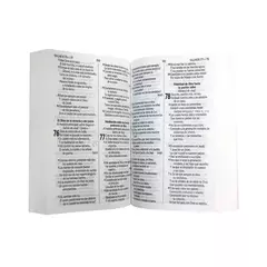 BIBLIA MEDIANA PASTA DE CARTON RUSTICA COLORES RVR060cLGPJR - comprar en línea
