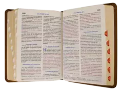 BIBLIA IMITACION PIEL COLOR CAFE DE 3 TINTAS RVR045cLGTI en internet
