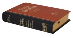 BIBLIA FUENTE DE BENDICIÓN COLOR CAFÉ CON NEGRO RVR045CFB en internet