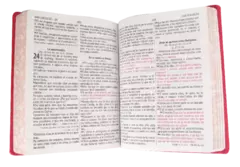 Biblia Reina Valera 1960 Grande Letra Gigante Imitación Piel Rosa [RVR086cLGiPJR] en internet
