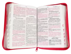 BIBLIA RVR056CLGPJRTIZ PU FIUCSA-ROSA PASTEL CIERRE E INDICE - comprar en línea