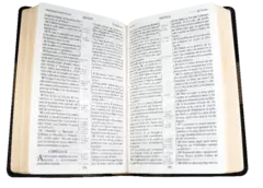 Biblia Reina Valera 1909 Mediana Letra Grande Imitación Piel Negro [VR065LG] - Distribuidores Cristianos