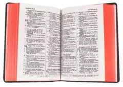 Biblia Reina Valera 1960 Tamaño Bolsillo Letra Chica Vinil Negro [RVR022] - comprar en línea
