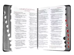Biblia Fuente de Bendiciones Reina Valera 1960 Chica Letra Mediana Imitación Piel Negro [RVR046cLMFBTI] en internet
