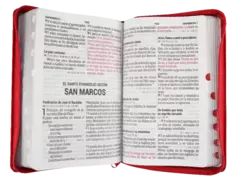 Biblia Reina Valera 1960 Mediana Letra Gigante Imitación Piel Rojo [RVR066cLSGiPJRZTI] en internet