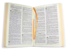 Biblia Reina Valera 1960 Mediana Letra Mediana Imitación Piel Blanco Ultrafina [RVR065cX] en internet