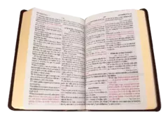 Biblia Reina Valera 1960 Mediana Letra Grande Imitación Piel Café [RVR065cLGPJR] en internet