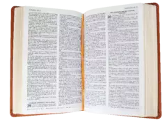 Biblia Reina Valera 1960 Mediana Letra Mediana Imitación Piel Marrón [RVR065c] - comprar en línea
