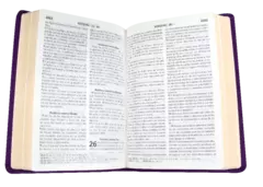 Biblia Reina Valera 1960 Mediana Letra Grande Imitación Piel Púrpura [RVR065CLG] - comprar en línea