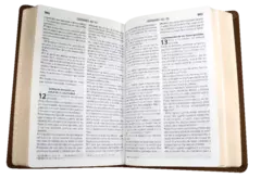 Biblia Reina Valera 1960 Mediana Letra Grande Imitación Piel Café Oro [RVR065CLG] - comprar en línea