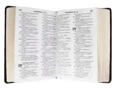 Biblia Reina Valera 1960 Mediana Letra Grande Imitación Piel Café [RVR065CLG] - comprar en línea