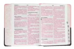 Biblia Reina Valera 1960 bolsillo Letra Grande 11 puntos Imitación Piel Rosa Marrón [RVR046cLSGiPJRTI] - Distribuidores Cristianos