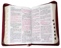 Biblia Reina Valera 1960 Mediana Letra Grande Imitación Piel Color Vino [RVR055CLGPJRZTIa] - comprar en línea