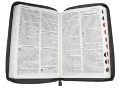 Biblia Reina Valera 1960 Mediana Letra Mediana Imitación Piel Gris [RVR065cZTI] en internet