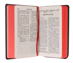 Nuevo Testamento y Salmos Reina Valera 1960 Tamaño Mini-Bolsillo Letra Chica Vinil Negro [RVR332] en internet
