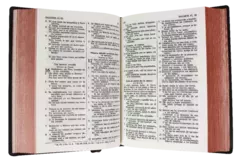 Biblia Reina Valera 1960 Chica Letra Chica Vinil Café Imperial [RVR042c] - comprar en línea