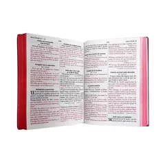 Biblia Reina Valera 1960 Grande Letra Gigante Vinil Vino [RVR082cLGIPJR] - comprar en línea