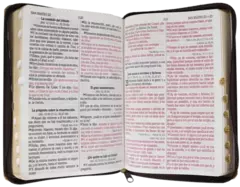 BIBLIA RVR066cLGPJRTIZ PIEL FABRICADA LEON DORADO en internet