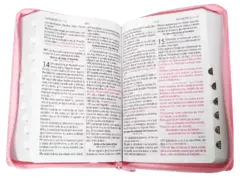 Biblia Reina Valera 1960 Mediana Letra Grande Imitación Piel Rosa [RVR056CLGPJRZTIPU en internet
