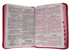 BIBLIA CIERRE ROSA LETRA GIGANTE CON INDICE RVR084CLGIPJRZTIA - comprar en línea