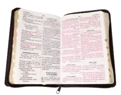 Biblia Reina Valera 1960 Mediana Letra, Grande Piel Fabricada León Café [RVR066cLGPJRTIZ] en internet
