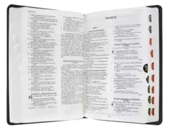 BIBLIA RVR065cTI Neat GRIS - comprar en línea