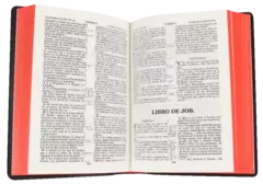 BIBLIA RV1909 BOLSILLO VINIL NEGRO VR022 - comprar en línea