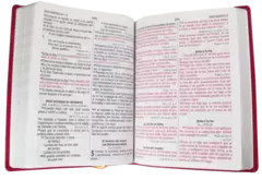 BIBLIA IMITACION PIEL DE LUJO EN COLOR PURPURA RVR086cLGPJR-MEX en internet