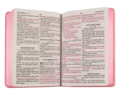 BIBLIA LETRA GRANDE ROSA RVR065cLGPJR en internet